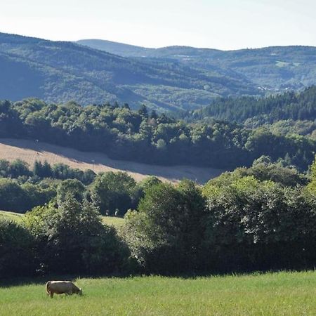Ahoma, Sejour Bien-Etre, Calme Et Serenite. Labruguière Esterno foto