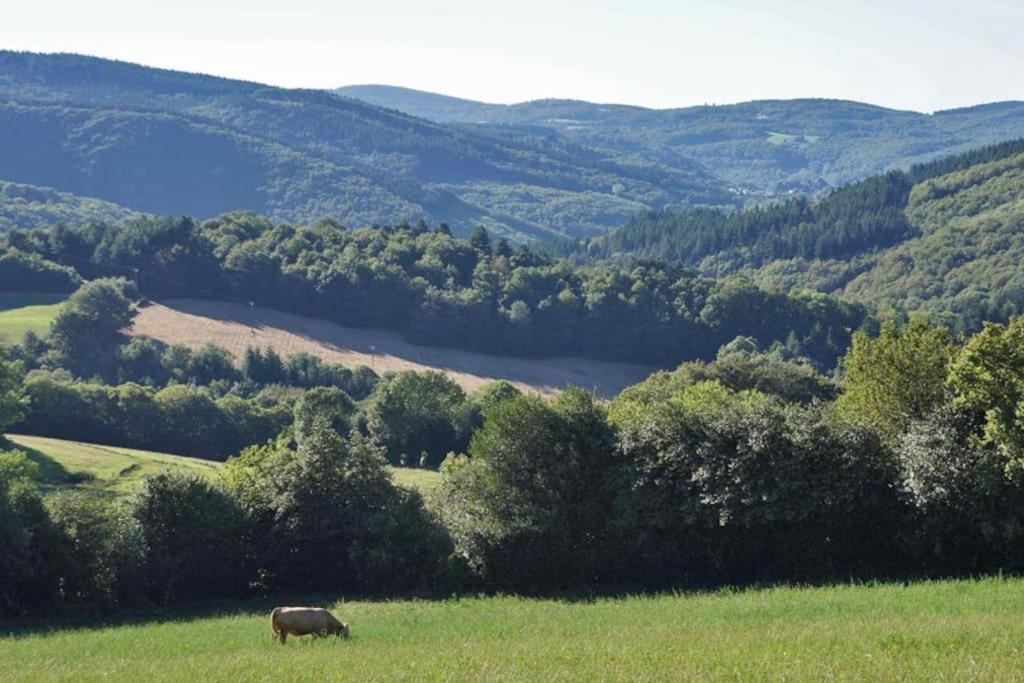 Ahoma, Sejour Bien-Etre, Calme Et Serenite. Labruguière Esterno foto
