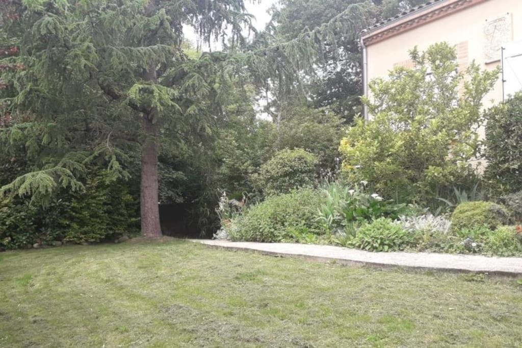 Ahoma, Sejour Bien-Etre, Calme Et Serenite. Labruguière Esterno foto